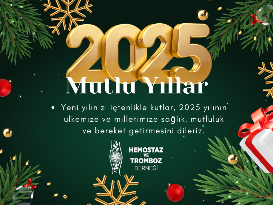 new-year-2025.png